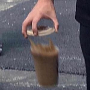 Meet your Posher, Estella